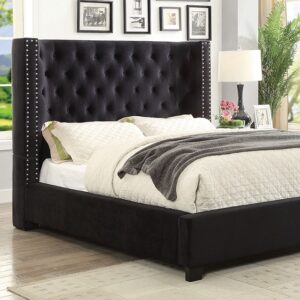 Carley - Bed Frame